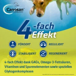Boehringer Ingelheim Canosan® Kautabletten Für Hunde -Dechra-verkauf 1745423 5 canosan hund kautabletten 4 fach effekt
