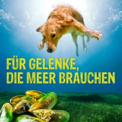 Boehringer Ingelheim Canosan® Kautabletten Für Hunde -Dechra-verkauf 1745423 8 canosan hund kautabletten content 21