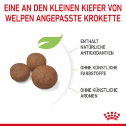 Royal Canin Medium Puppy Trockenfutter Hund -Dechra-verkauf 3182550402132 2905 5