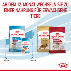 Royal Canin Medium Puppy Trockenfutter Hund -Dechra-verkauf 3182550402132 2905 6