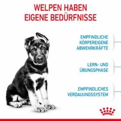 Royal Canin Maxi Puppy Trockenfutter Hund 11 Royal Canin Maxi Puppy Trockenfutter Hund -Dechra-verkauf 3182550402163 3005 3