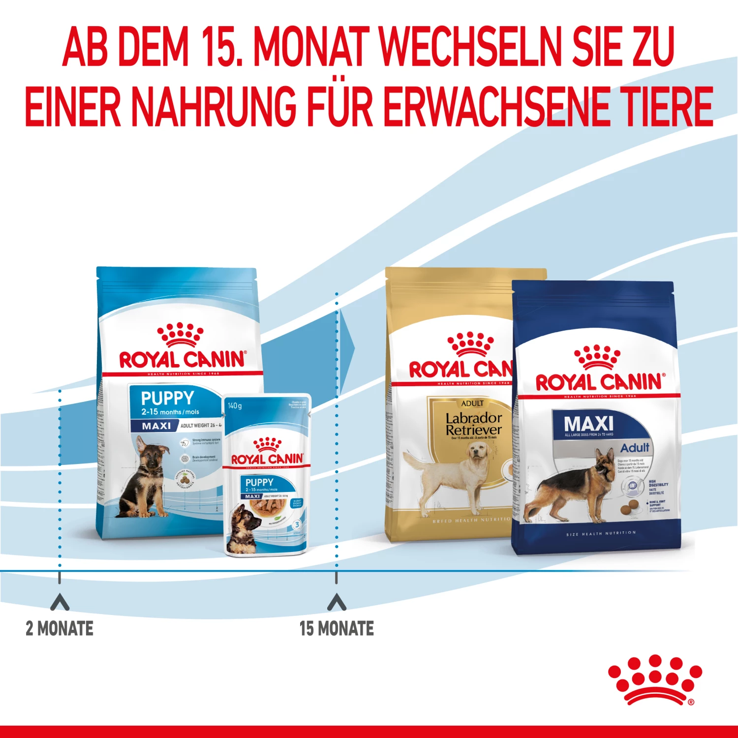 Royal Canin Maxi Puppy Trockenfutter Hund 8 Royal Canin Maxi Puppy Trockenfutter Hund – Bild 6