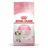 Royal Canin Kitten Trockenfutter Für Kätzchen Bis Zum 12. Monat 1 Royal Canin Kitten Trockenfutter Für Kätzchen Bis Zum 12. Monat -Dechra-verkauf 3182550702973 1401 packshot1