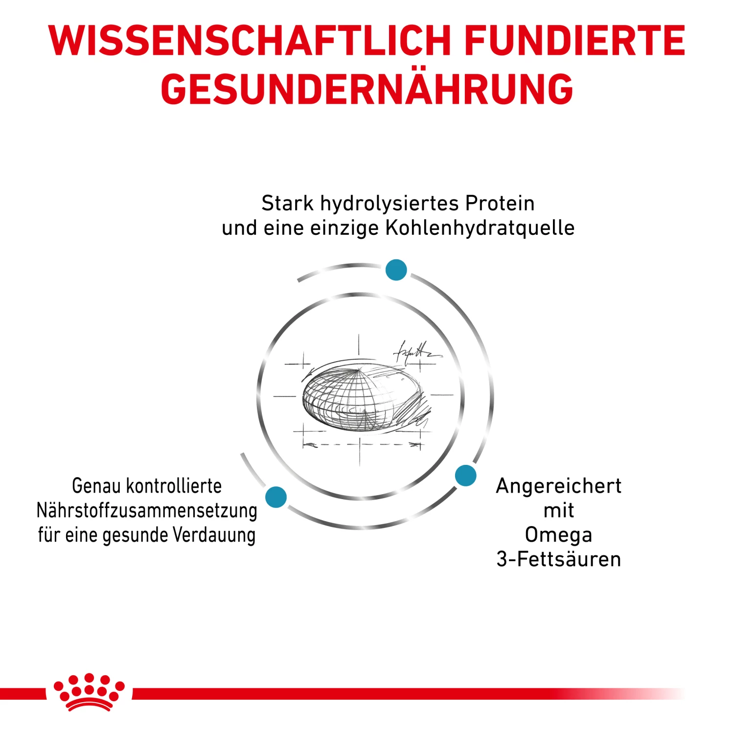 Royal Canin Hypoallergenic Trockenfutter Hund 4 Royal Canin Hypoallergenic Trockenfutter Hund – Bild 2