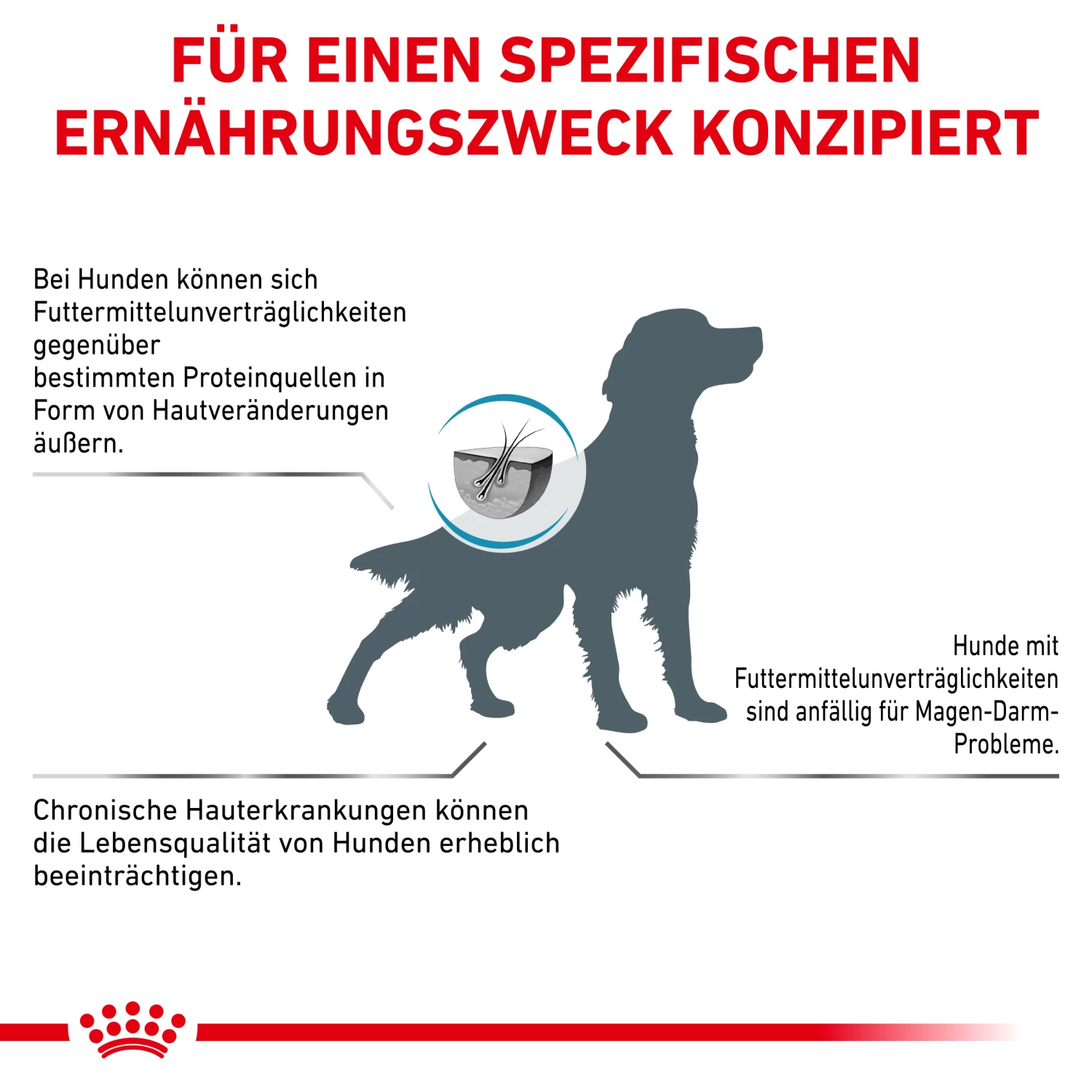 Royal Canin Hypoallergenic Trockenfutter Hund 5 Royal Canin Hypoallergenic Trockenfutter Hund – Bild 3