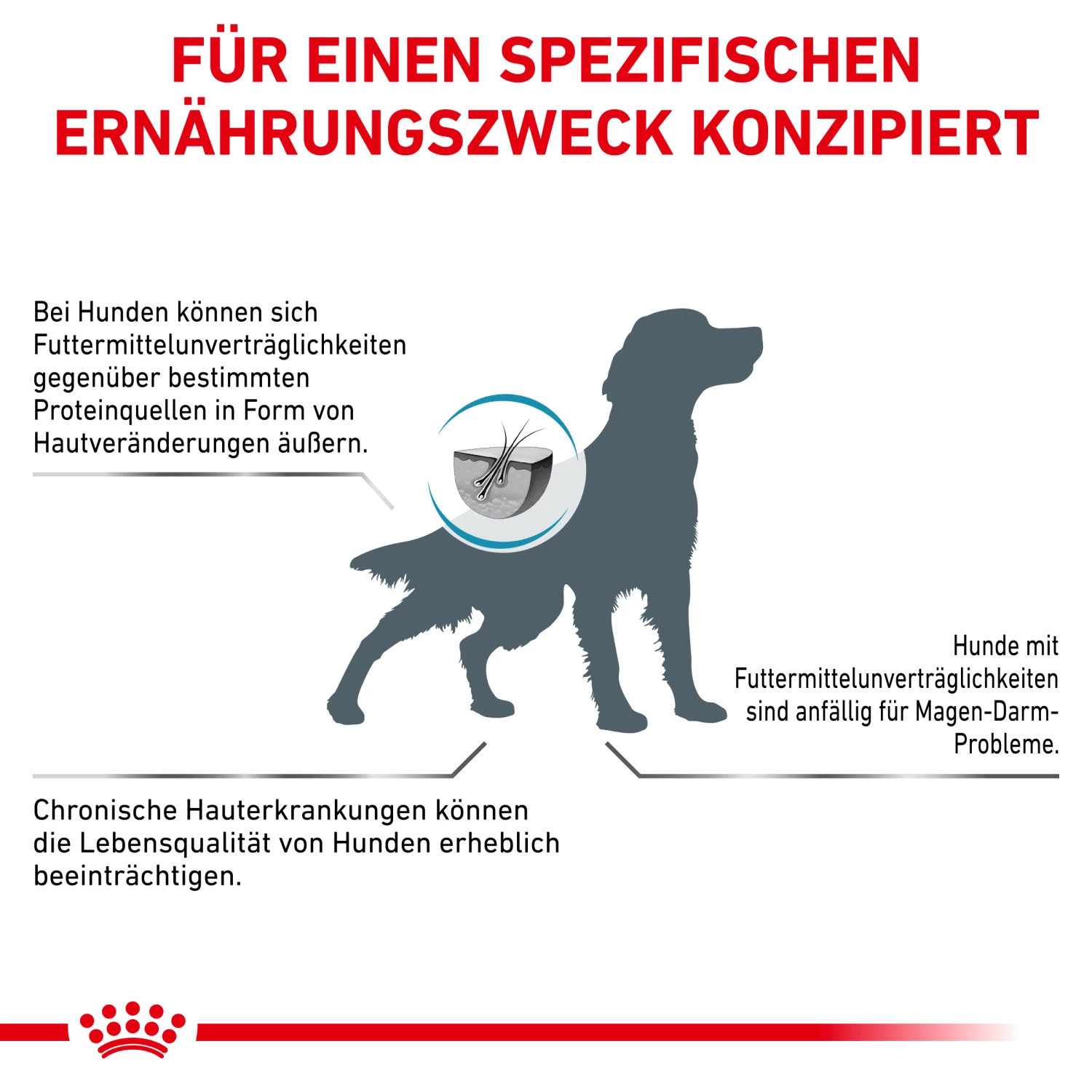 Royal Canin Sensitivity Control Trockenfutter Hund 9 Royal Canin Sensitivity Control Trockenfutter Hund – Bild 7