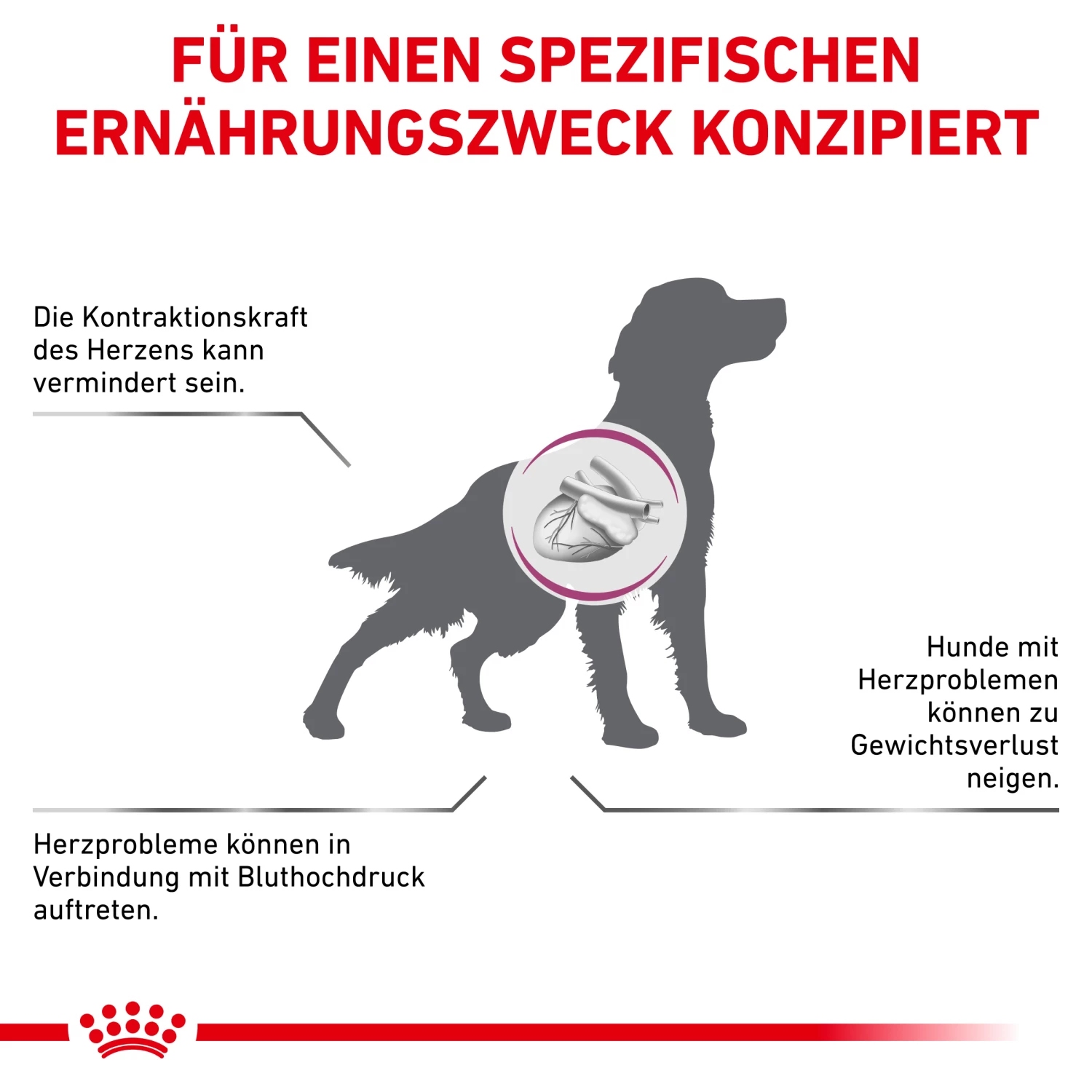 Royal Canin Cardiac Trockenfutter Hund 4 Royal Canin Cardiac Trockenfutter Hund – Bild 2