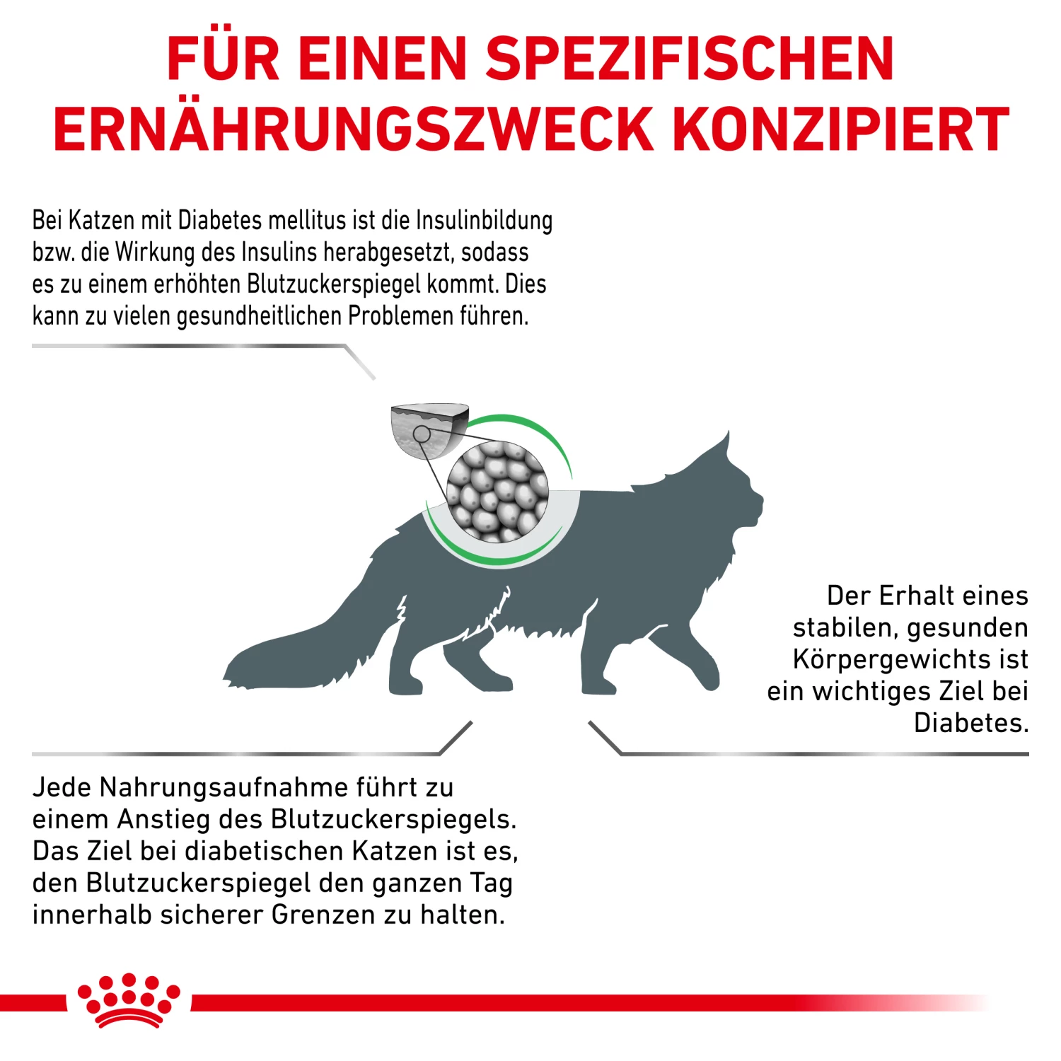 Royal Canin Diabetic Trockenfutter Katze 4 Royal Canin Diabetic Trockenfutter Katze – Bild 2