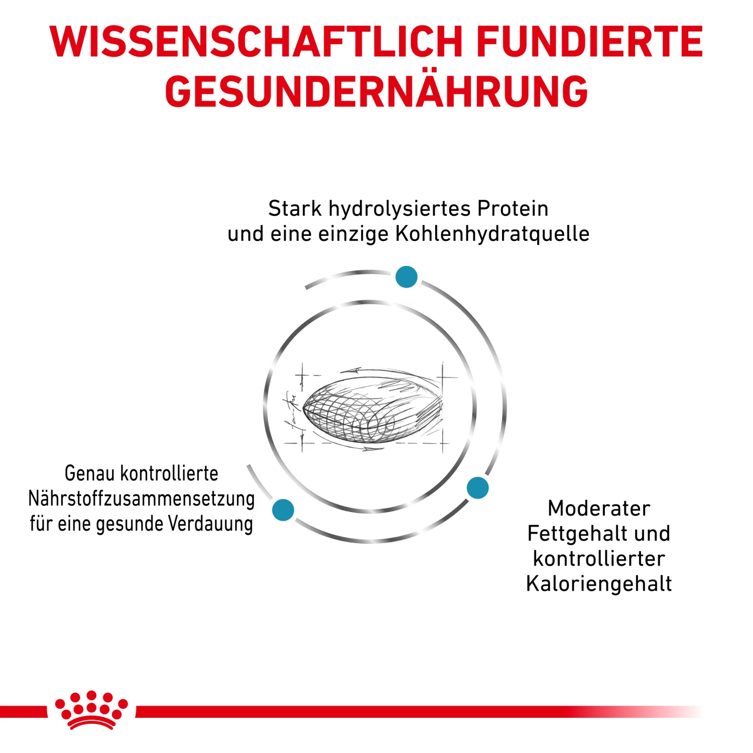 Royal Canin Hypoallergenic Moderate Calorie Trockenfutter Hund 4 Royal Canin Hypoallergenic Moderate Calorie Trockenfutter Hund – Bild 2