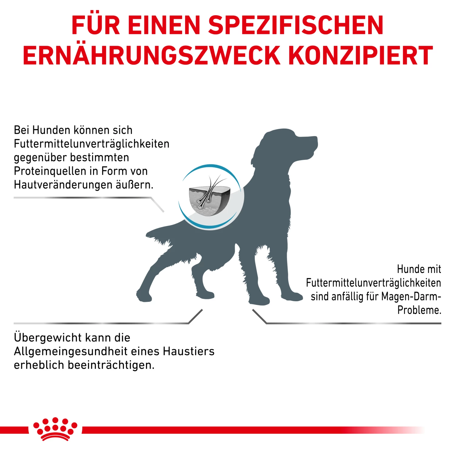 Royal Canin Hypoallergenic Moderate Calorie Trockenfutter Hund 9 Royal Canin Hypoallergenic Moderate Calorie Trockenfutter Hund – Bild 7