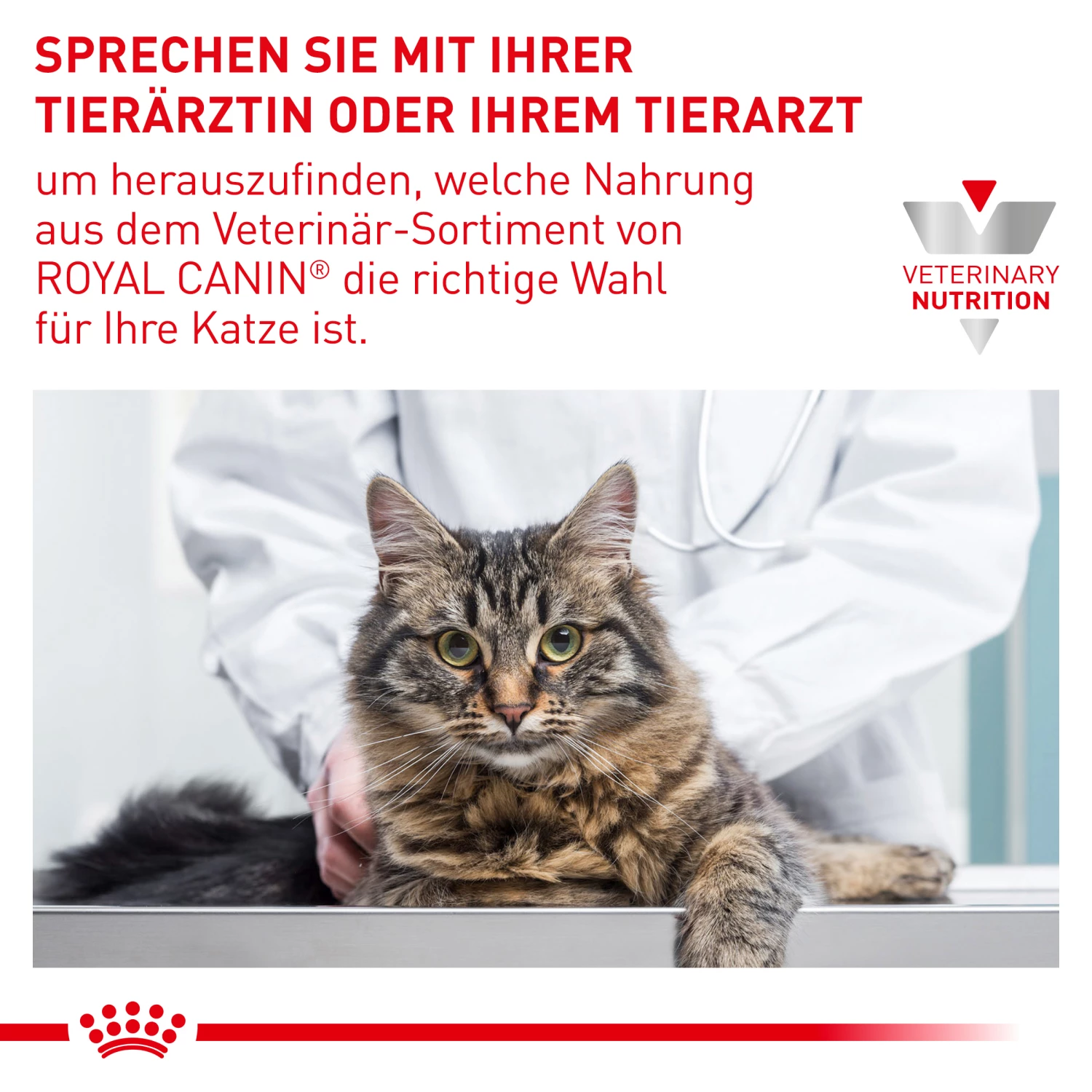 Royal Canin Sensitivity Control Trockenfutter Katze 8 Royal Canin Sensitivity Control Trockenfutter Katze – Bild 6