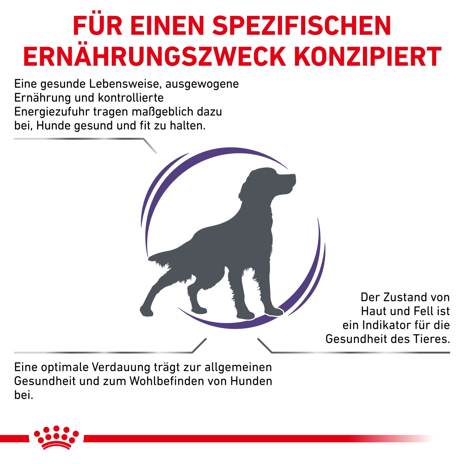 Royal Canin Expert Adult Medium Dogs Trockenfutter Hund 4 Royal Canin Expert Adult Medium Dogs Trockenfutter Hund – Bild 2