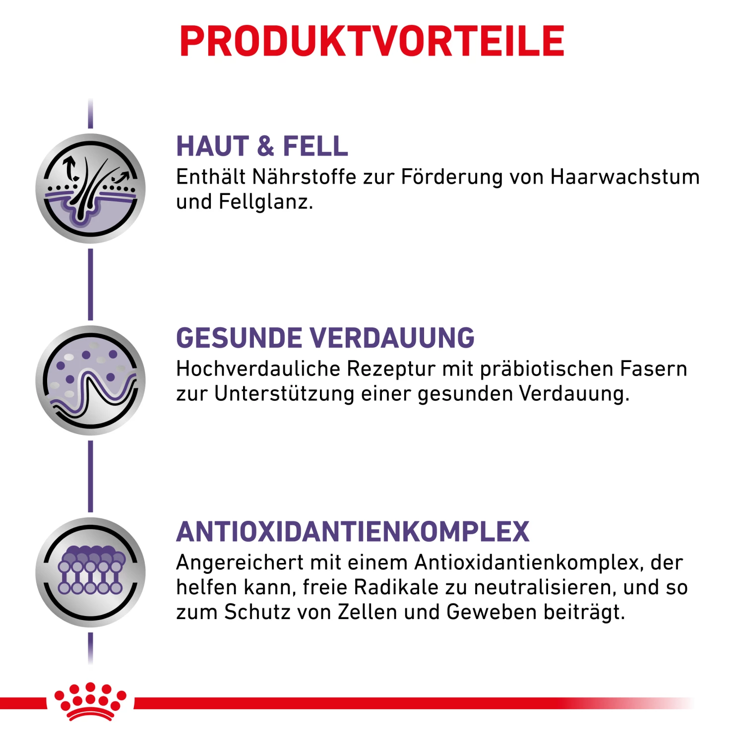 Royal Canin Expert Adult Medium Dogs Trockenfutter Hund 6 Royal Canin Expert Adult Medium Dogs Trockenfutter Hund – Bild 4