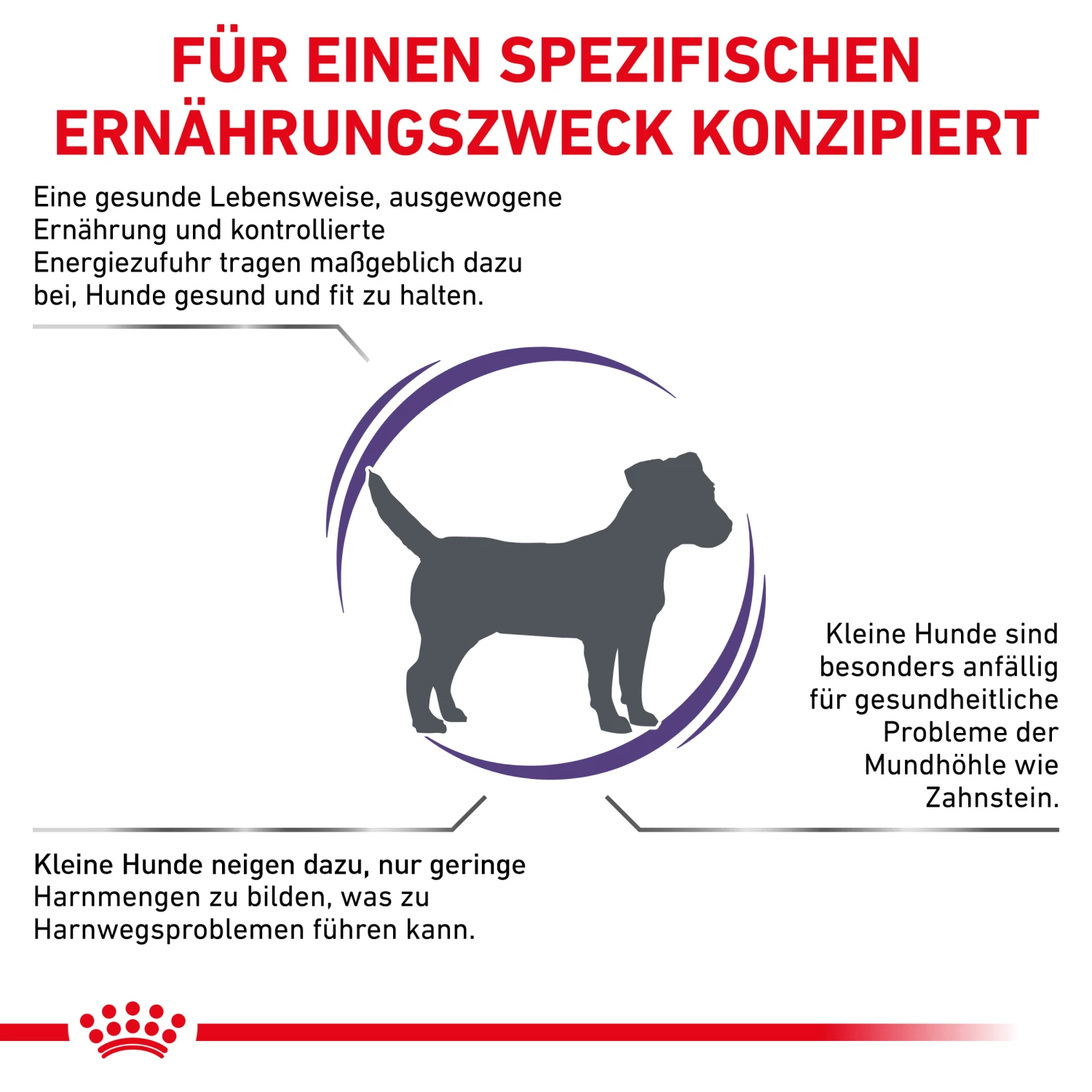 Royal Canin Expert Adult Small Dogs Trockenfutter Hund 4 Royal Canin Expert Adult Small Dogs Trockenfutter Hund – Bild 2