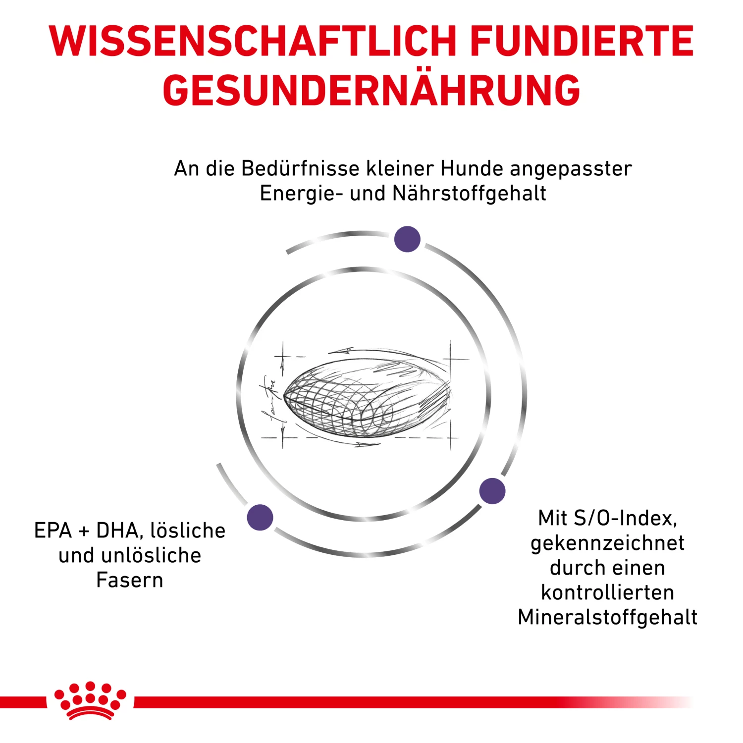 Royal Canin Expert Adult Small Dogs Trockenfutter Hund 5 Royal Canin Expert Adult Small Dogs Trockenfutter Hund – Bild 3