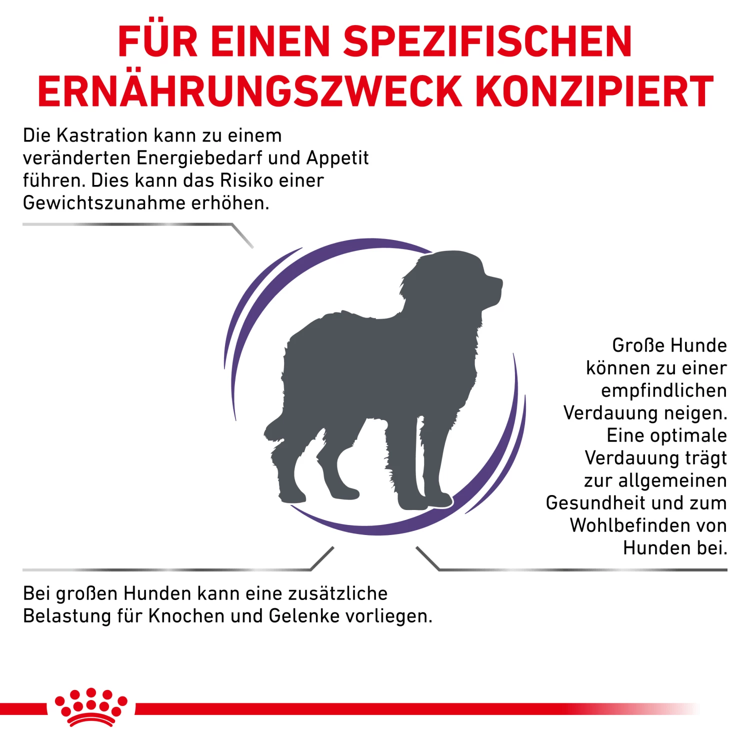 Royal Canin Neutered Adult Large Dogs Trockenfutter Hund 4 Royal Canin Neutered Adult Large Dogs Trockenfutter Hund – Bild 2