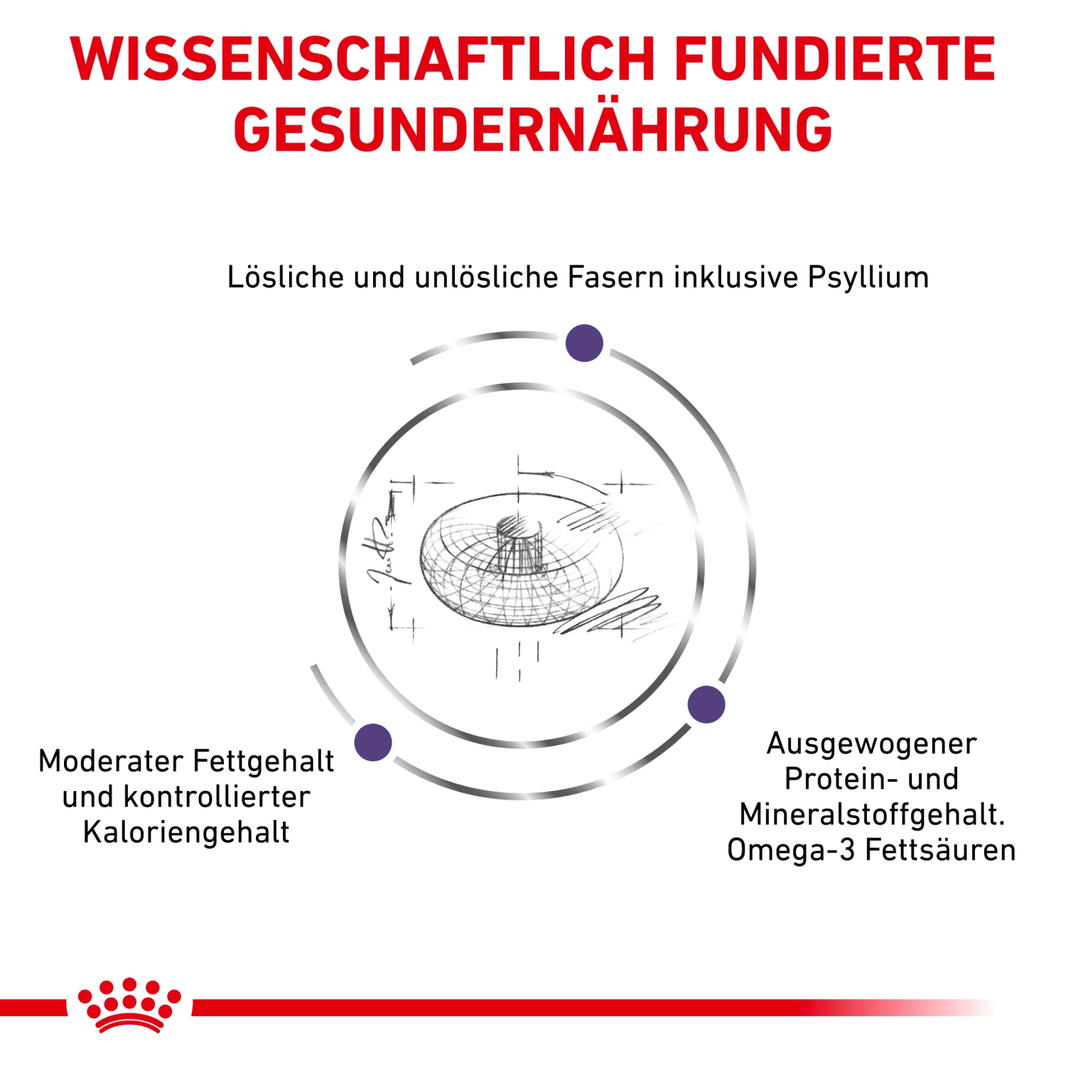 Royal Canin Neutered Adult Large Dogs Trockenfutter Hund 5 Royal Canin Neutered Adult Large Dogs Trockenfutter Hund – Bild 3