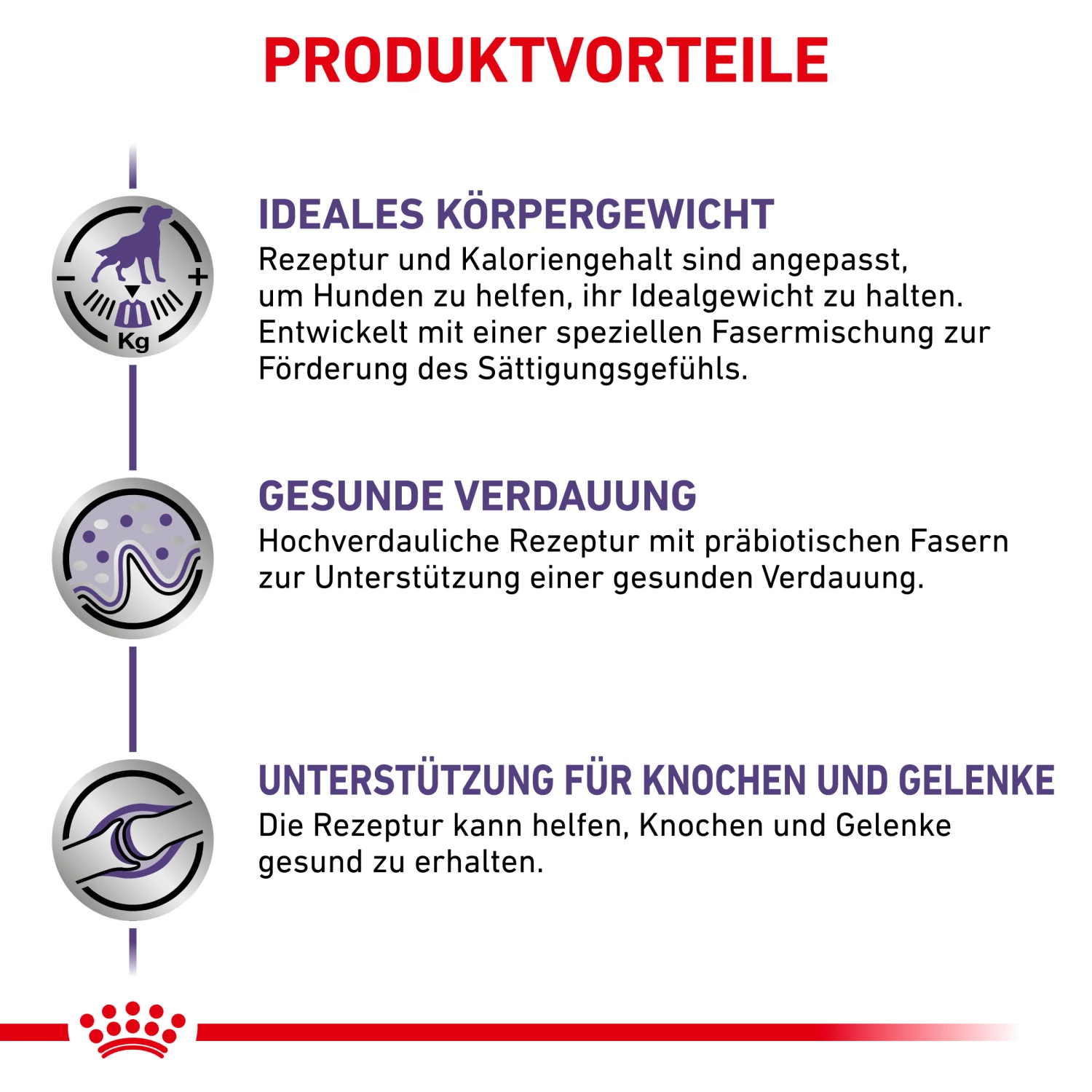 Royal Canin Neutered Adult Large Dogs Trockenfutter Hund 6 Royal Canin Neutered Adult Large Dogs Trockenfutter Hund – Bild 4