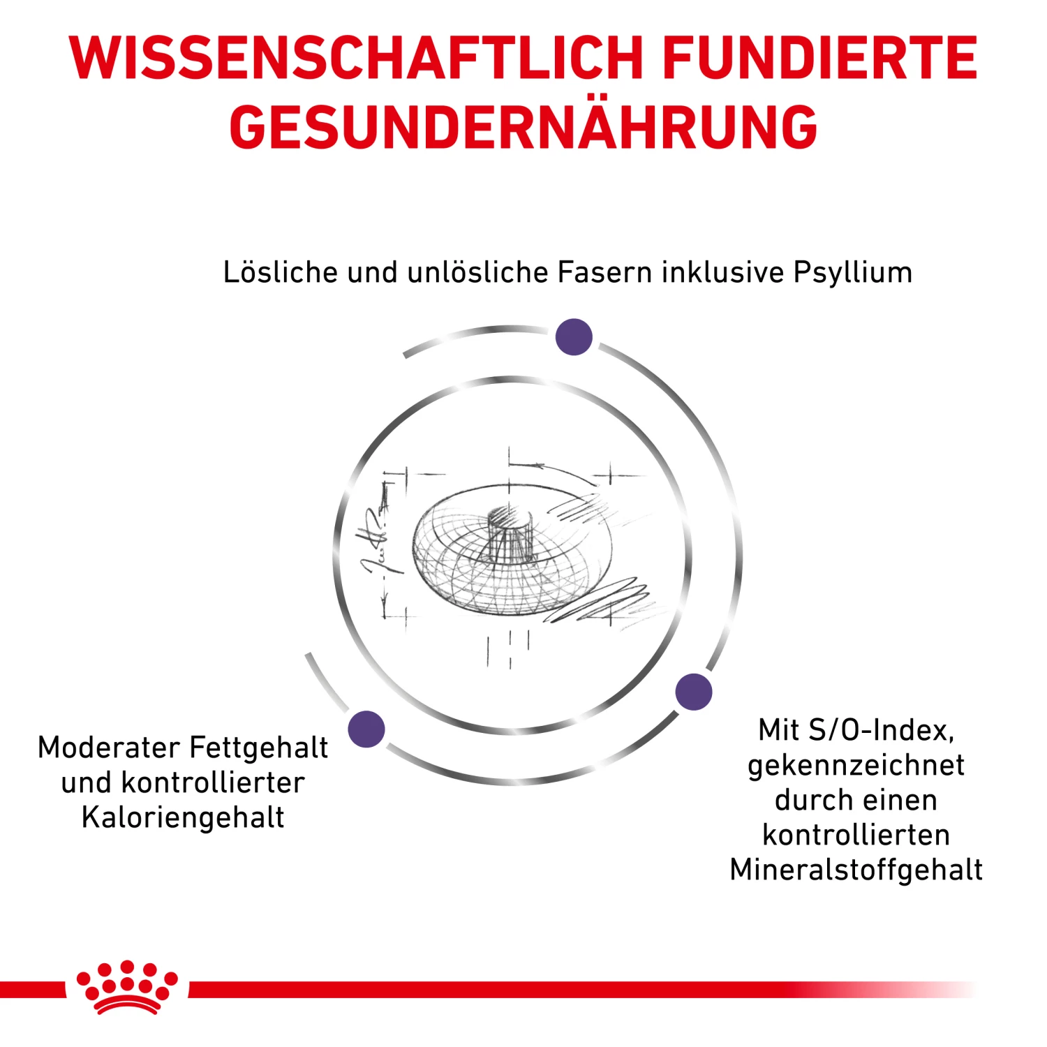 Royal Canin Neutered Adult Small Dogs Trockenfutter Hund 5 Royal Canin Neutered Adult Small Dogs Trockenfutter Hund – Bild 3