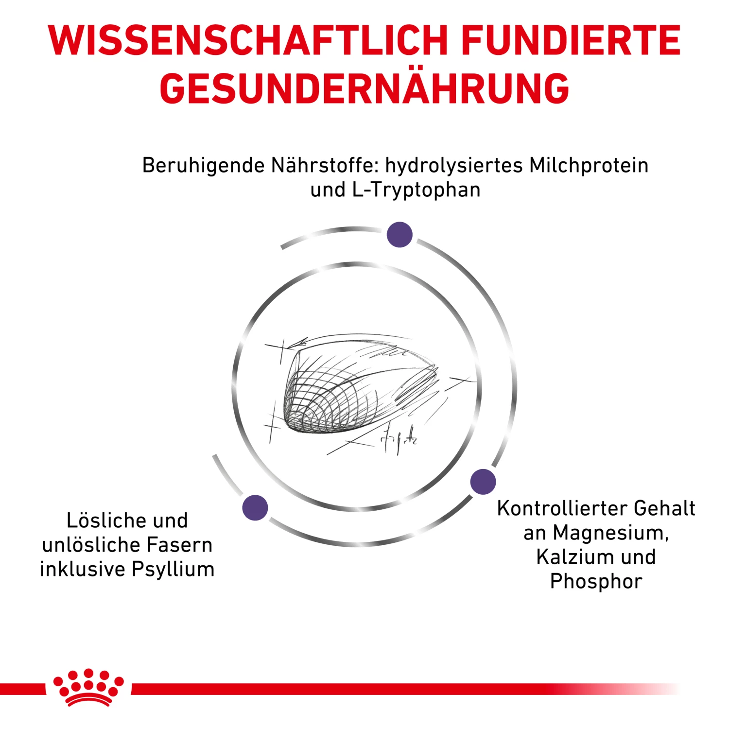 Royal Canin Calm Trockenfutter Katze 5 Royal Canin Calm Trockenfutter Katze – Bild 3