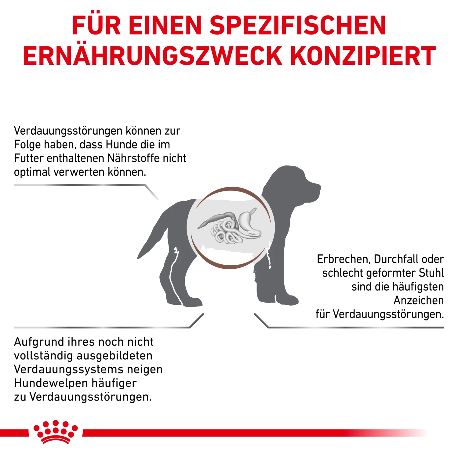 Royal Canin Gastrointestinal Puppy Trockenfutter Hund 4 Royal Canin Gastrointestinal Puppy Trockenfutter Hund – Bild 2
