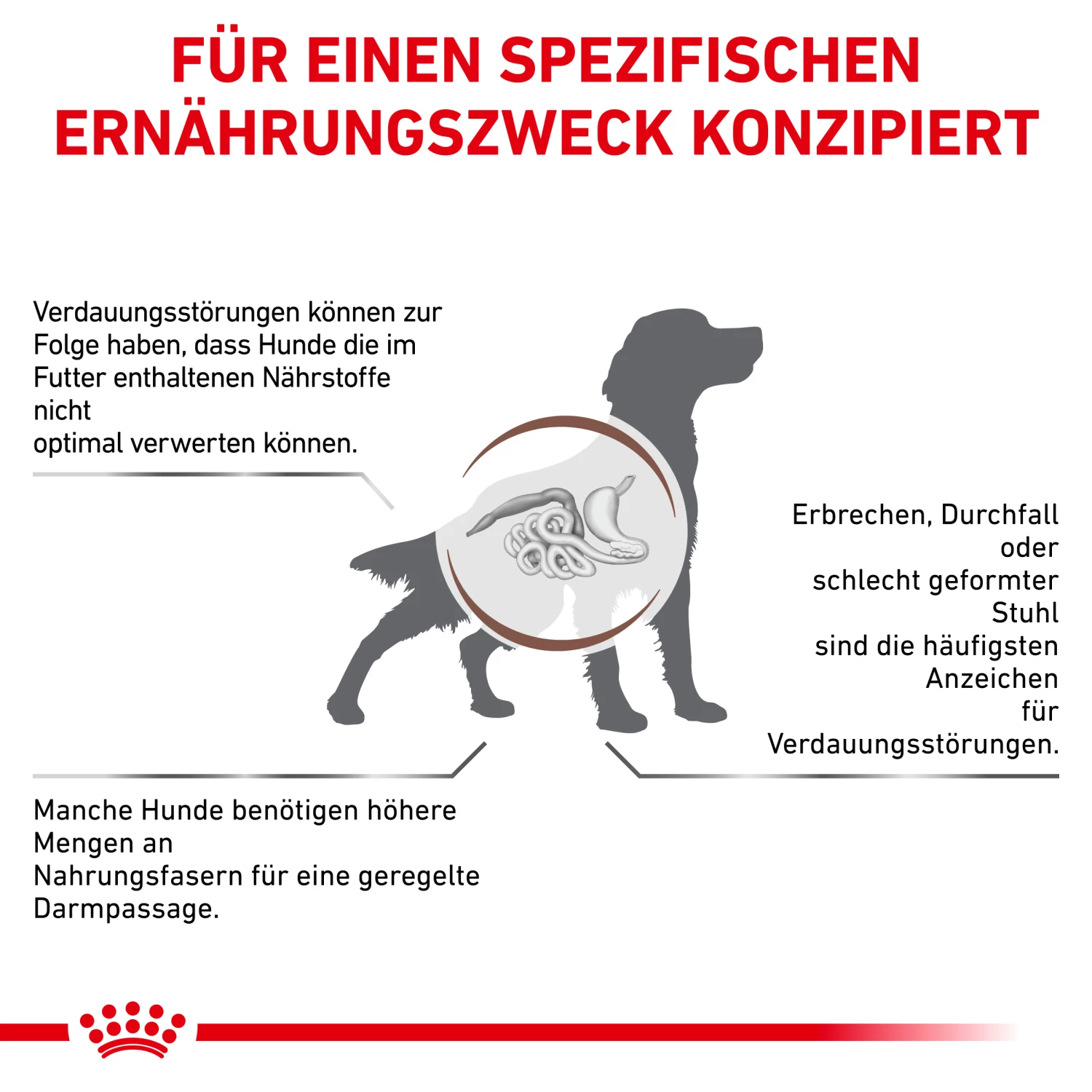 Royal Canin Gastrointestinal High Fibre Trockenfutter Hund 4 Royal Canin Gastrointestinal High Fibre Trockenfutter Hund – Bild 2