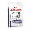 Royal Canin Mature Consult Medium Dogs Trockenfutter Hund 1 Royal Canin Mature Consult Medium Dogs Trockenfutter Hund -Dechra-verkauf 3182550782043 6739 1