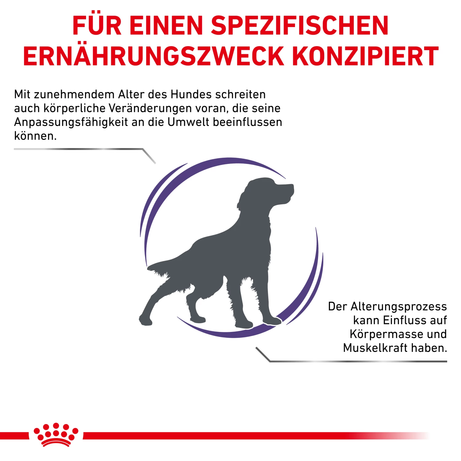 Royal Canin Mature Consult Medium Dogs Trockenfutter Hund 4 Royal Canin Mature Consult Medium Dogs Trockenfutter Hund – Bild 2