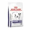 Royal Canin Dental Small Dogs Trockenfutter Hund -Dechra-verkauf 3182550783910 333 1
