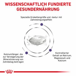 Royal Canin Dental Small Dogs Trockenfutter Hund 11 Royal Canin Dental Small Dogs Trockenfutter Hund -Dechra-verkauf 3182550783910 333 4