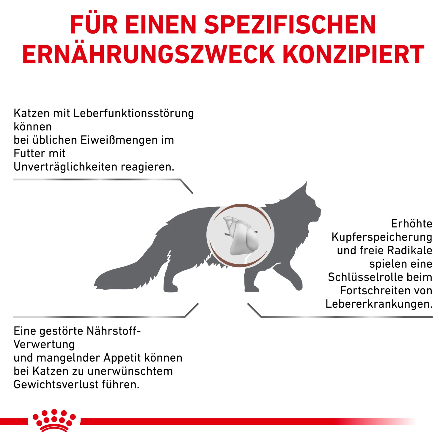 Royal Canin Hepatic Trockenfutter Katze 4 Royal Canin Hepatic Trockenfutter Katze – Bild 2
