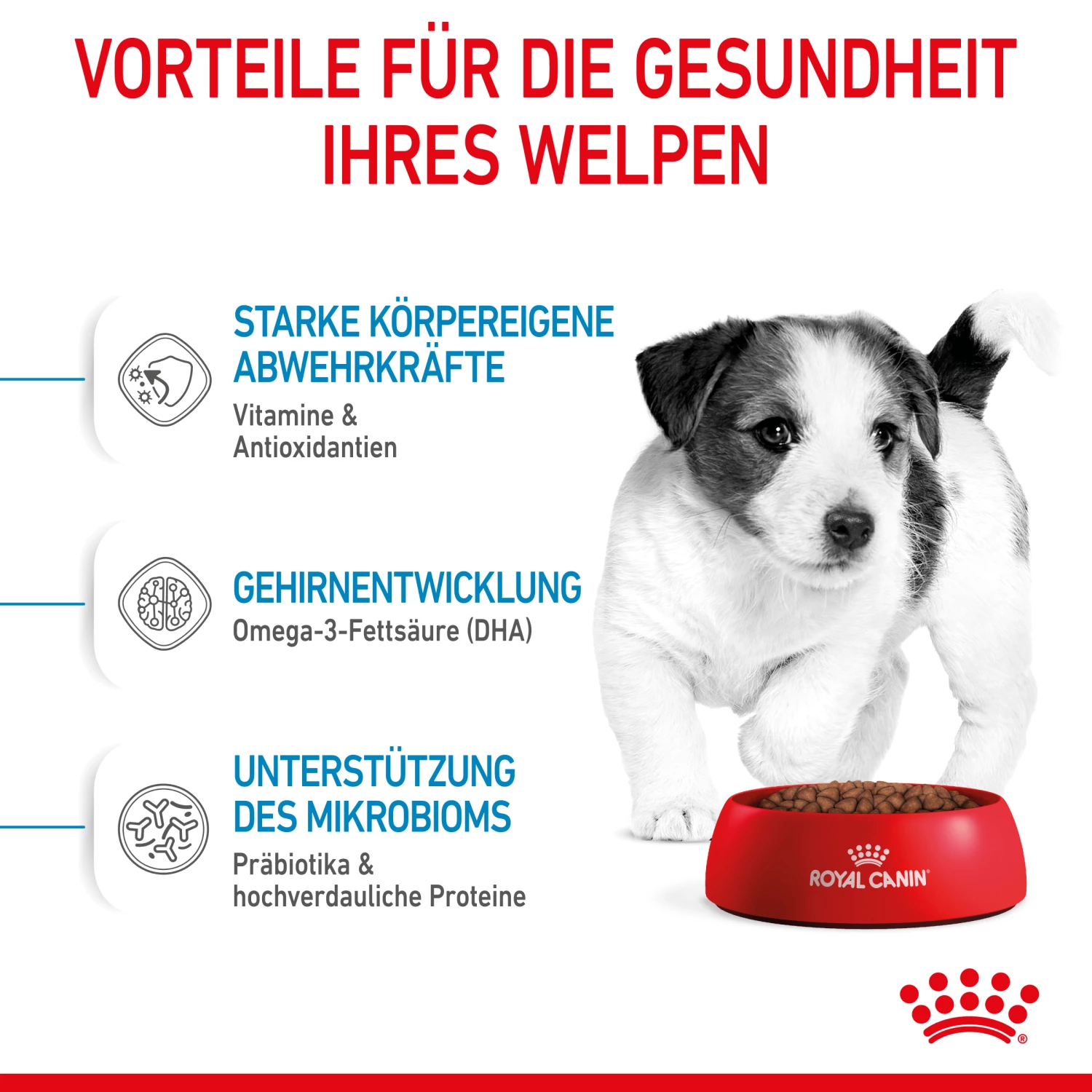 Royal Canin Mini Puppy Trockenfutter Für Welpen Kleiner Hunderassen 5 Royal Canin Mini Puppy Trockenfutter Für Welpen Kleiner Hunderassen – Bild 3