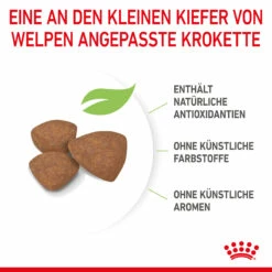 Royal Canin Mini Puppy Trockenfutter Für Welpen Kleiner Hunderassen 11 Royal Canin Mini Puppy Trockenfutter Für Welpen Kleiner Hunderassen -Dechra-verkauf 3182550793049 2809 5