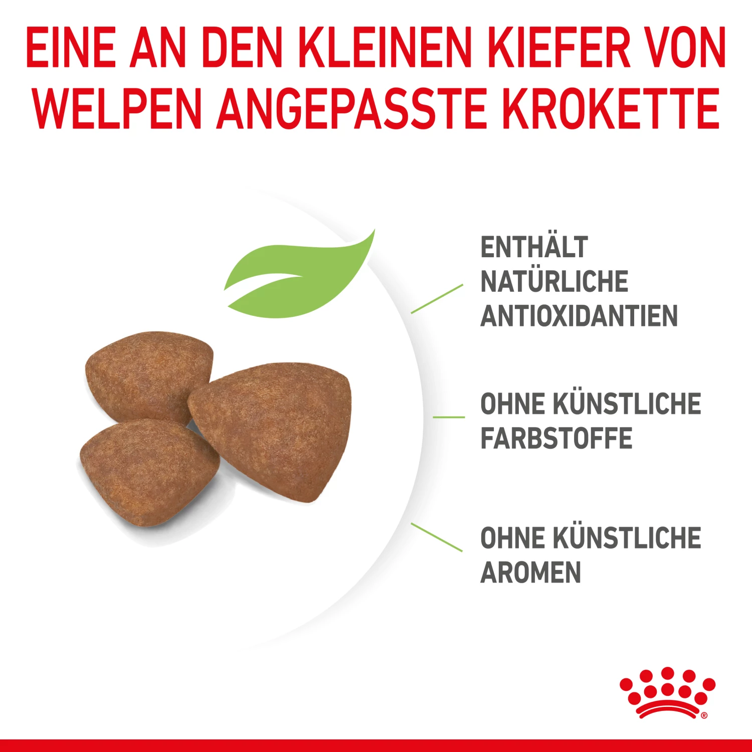 Royal Canin Mini Puppy Trockenfutter Für Welpen Kleiner Hunderassen 6 Royal Canin Mini Puppy Trockenfutter Für Welpen Kleiner Hunderassen – Bild 4