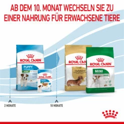 Royal Canin Mini Puppy Trockenfutter Für Welpen Kleiner Hunderassen 12 Royal Canin Mini Puppy Trockenfutter Für Welpen Kleiner Hunderassen -Dechra-verkauf 3182550793049 2809 6
