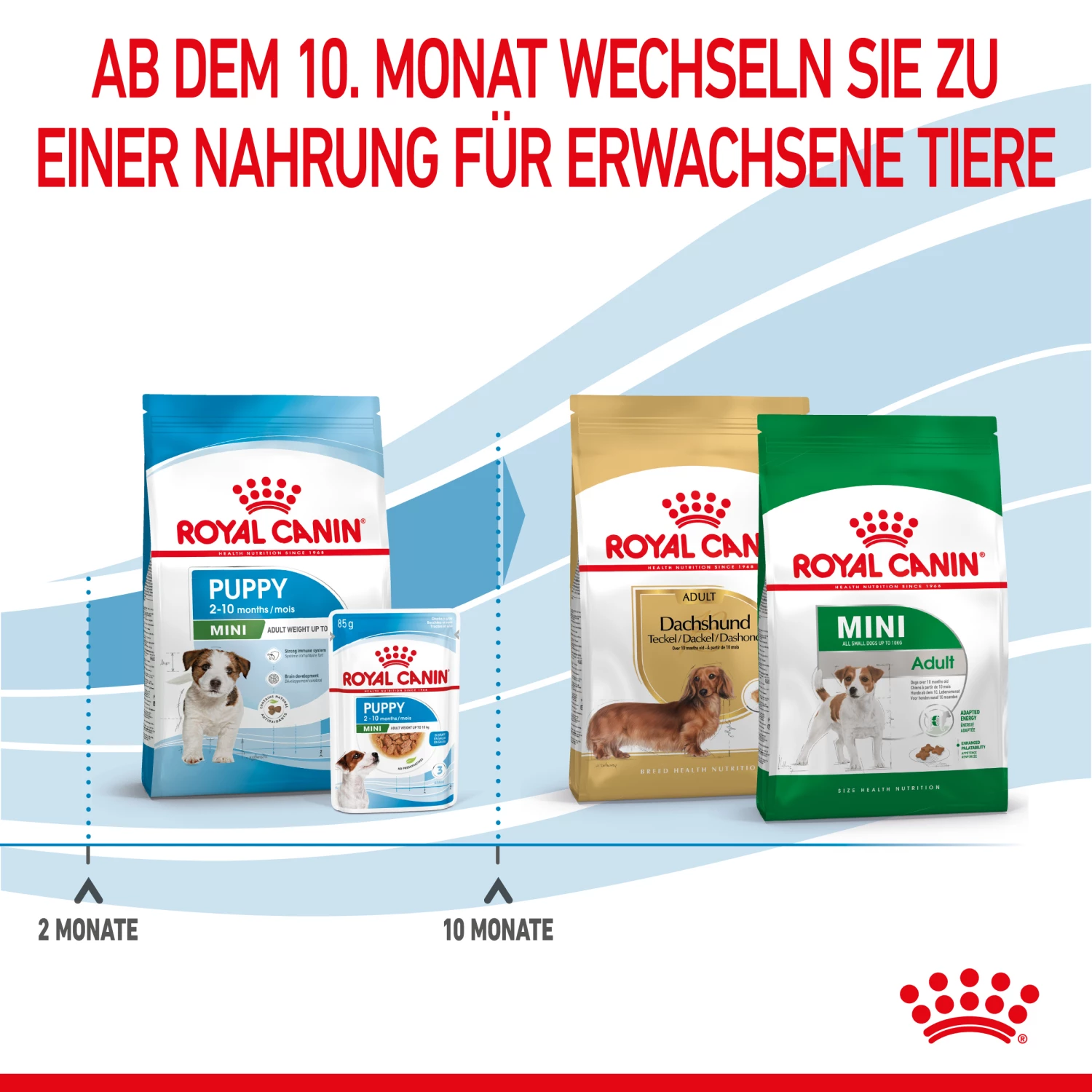 Royal Canin Mini Puppy Trockenfutter Für Welpen Kleiner Hunderassen 7 Royal Canin Mini Puppy Trockenfutter Für Welpen Kleiner Hunderassen – Bild 5
