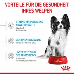 Royal Canin X-Small Puppy Trockenfutter Für Welpen Sehr Kleiner Hunderassen 10 Royal Canin X-Small Puppy Trockenfutter Für Welpen Sehr Kleiner Hunderassen -Dechra-verkauf 3182550793636 10003 4