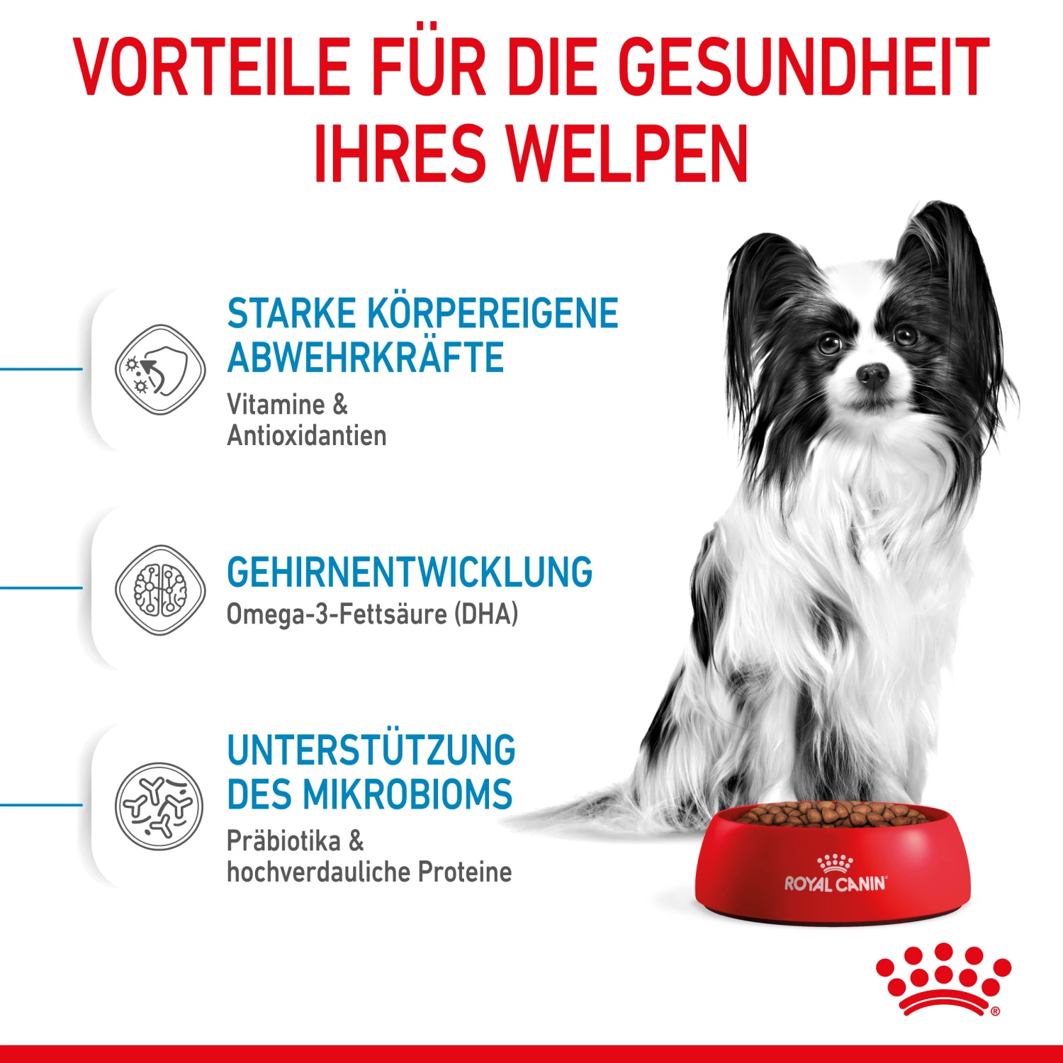 Royal Canin X-Small Puppy Trockenfutter Für Welpen Sehr Kleiner Hunderassen 5 Royal Canin X-Small Puppy Trockenfutter Für Welpen Sehr Kleiner Hunderassen – Bild 3