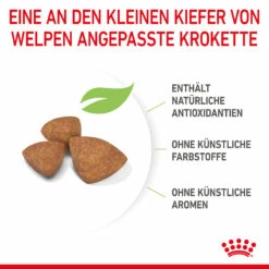 Royal Canin X-Small Puppy Trockenfutter Für Welpen Sehr Kleiner Hunderassen 11 Royal Canin X-Small Puppy Trockenfutter Für Welpen Sehr Kleiner Hunderassen -Dechra-verkauf 3182550793636 10003 5