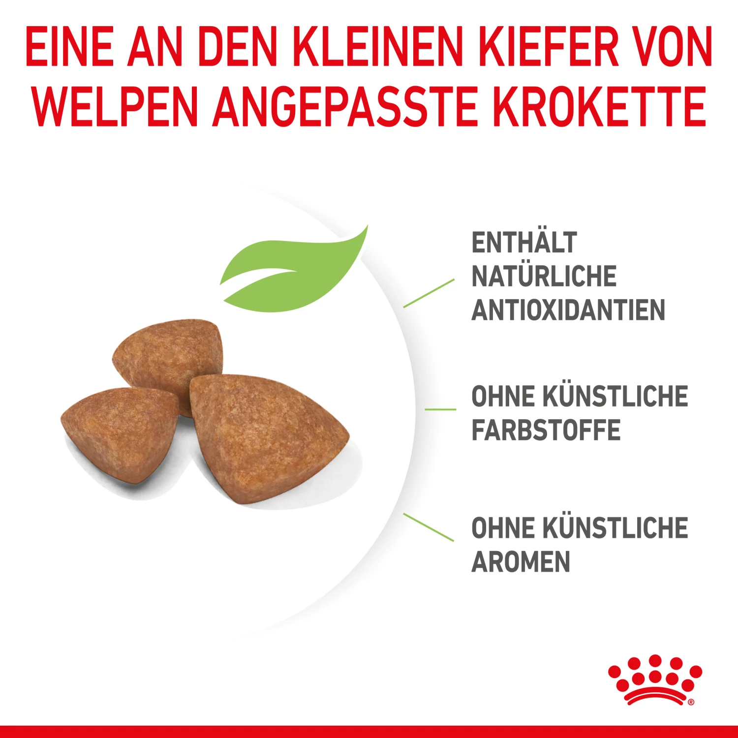 Royal Canin X-Small Puppy Trockenfutter Für Welpen Sehr Kleiner Hunderassen 6 Royal Canin X-Small Puppy Trockenfutter Für Welpen Sehr Kleiner Hunderassen – Bild 4