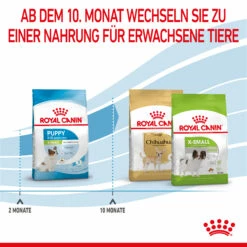 Royal Canin X-Small Puppy Trockenfutter Für Welpen Sehr Kleiner Hunderassen 12 Royal Canin X-Small Puppy Trockenfutter Für Welpen Sehr Kleiner Hunderassen -Dechra-verkauf 3182550793636 10003 6