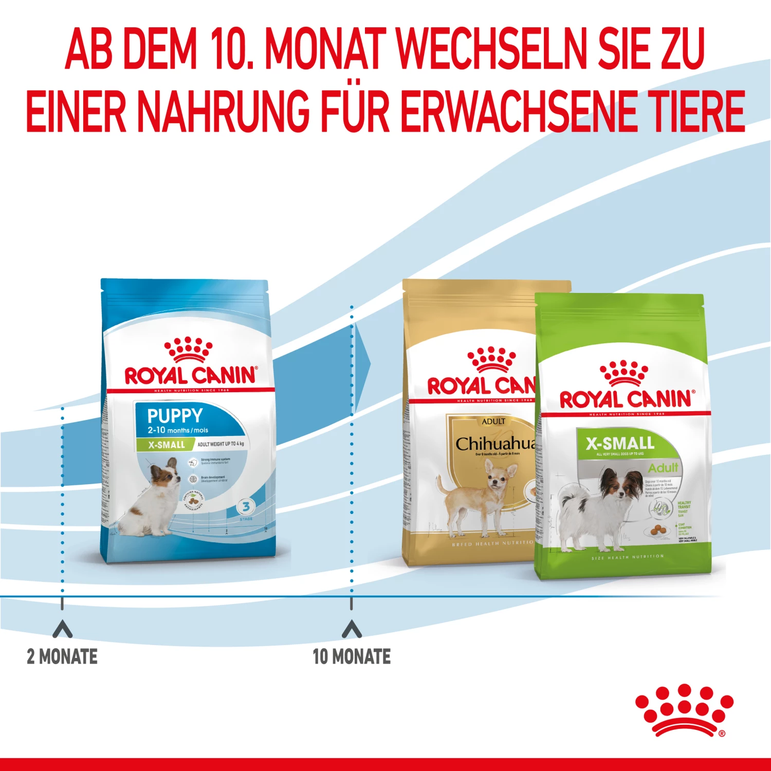 Royal Canin X-Small Puppy Trockenfutter Für Welpen Sehr Kleiner Hunderassen 7 Royal Canin X-Small Puppy Trockenfutter Für Welpen Sehr Kleiner Hunderassen – Bild 5