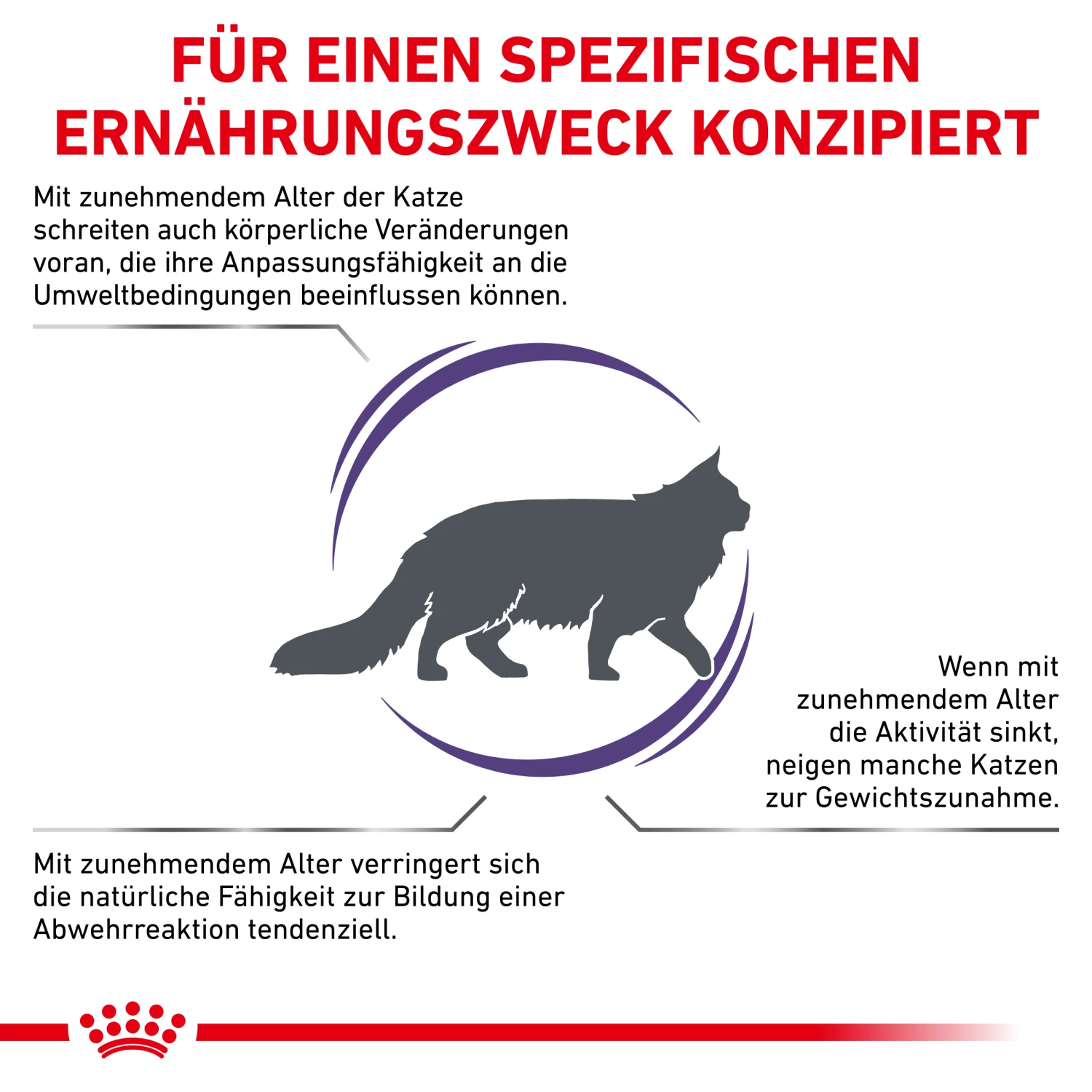 Royal Canin Mature Consult Balance Trockenfutter Katze 4 Royal Canin Mature Consult Balance Trockenfutter Katze – Bild 2