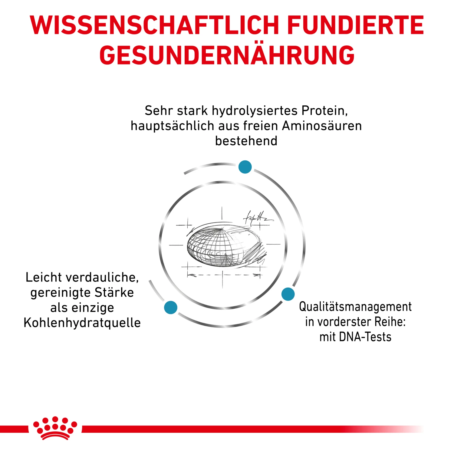 Royal Canin Anallergenic Trockenfutter Hund 4 Royal Canin Anallergenic Trockenfutter Hund – Bild 2