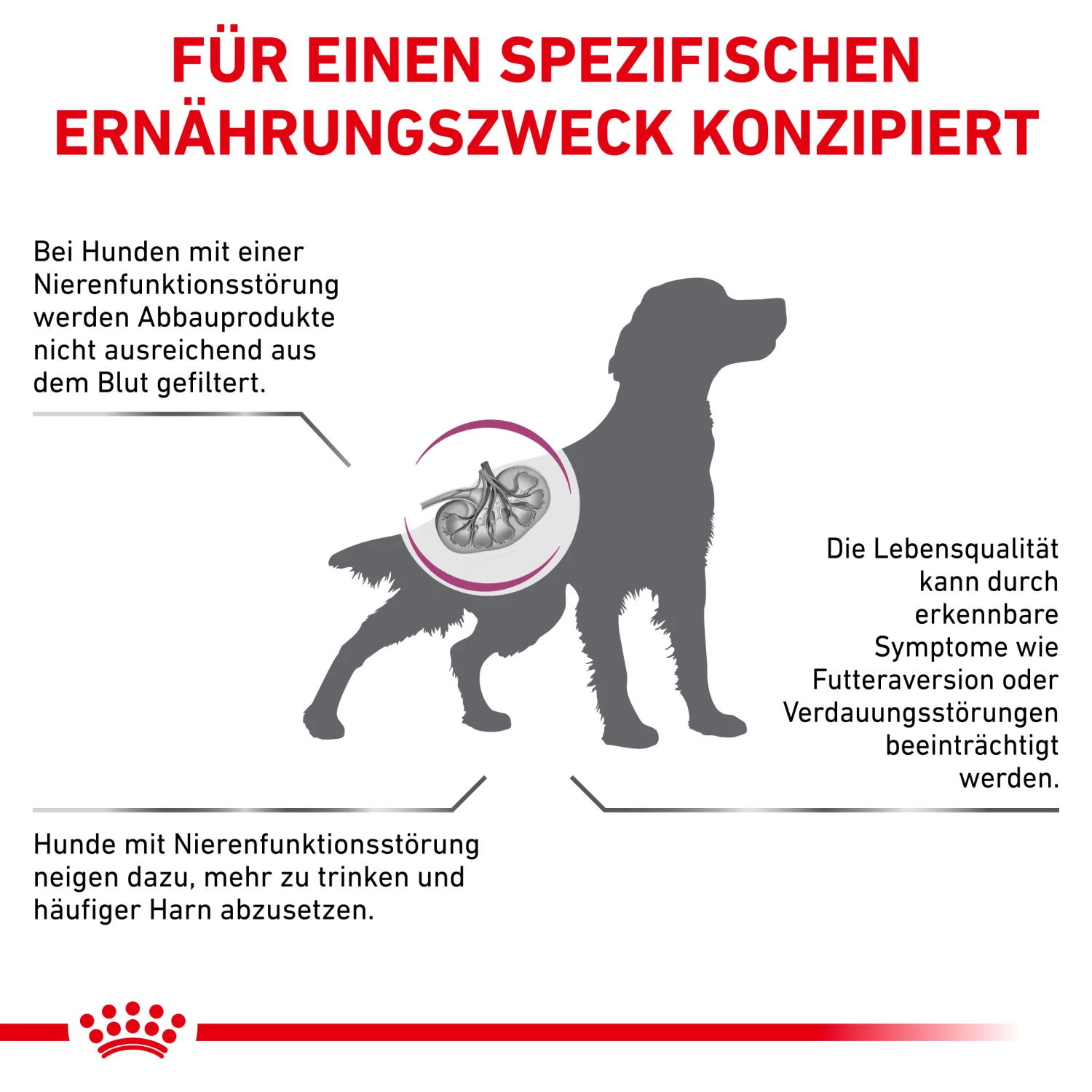 Royal Canin Renal Special Trockenfutter Hund 3 Royal Canin Renal Special Trockenfutter Hund – Bild 2