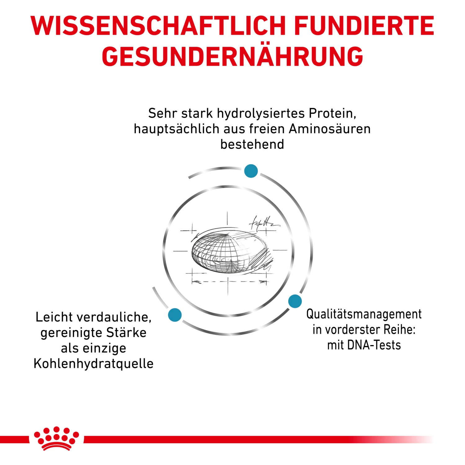 Royal Canin Anallergenic Trockenfutter Katze 4 Royal Canin Anallergenic Trockenfutter Katze – Bild 2