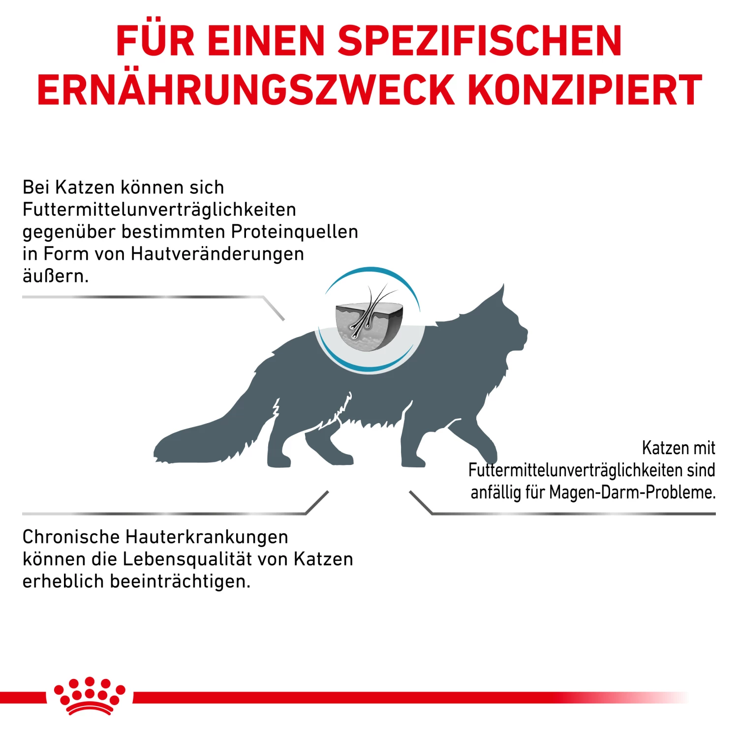 Royal Canin Anallergenic Trockenfutter Katze 9 Royal Canin Anallergenic Trockenfutter Katze – Bild 7
