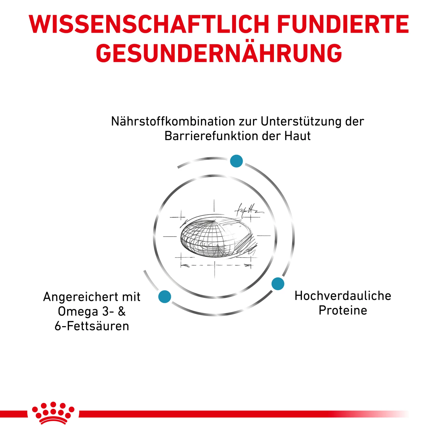 Royal Canin Skin Care Trockenfutter Hund 4 Royal Canin Skin Care Trockenfutter Hund – Bild 2