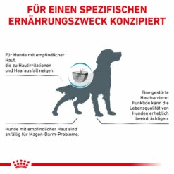 Royal Canin Skin Care Trockenfutter Hund 15 Royal Canin Skin Care Trockenfutter Hund -Dechra-verkauf 3182550899161 5588 8