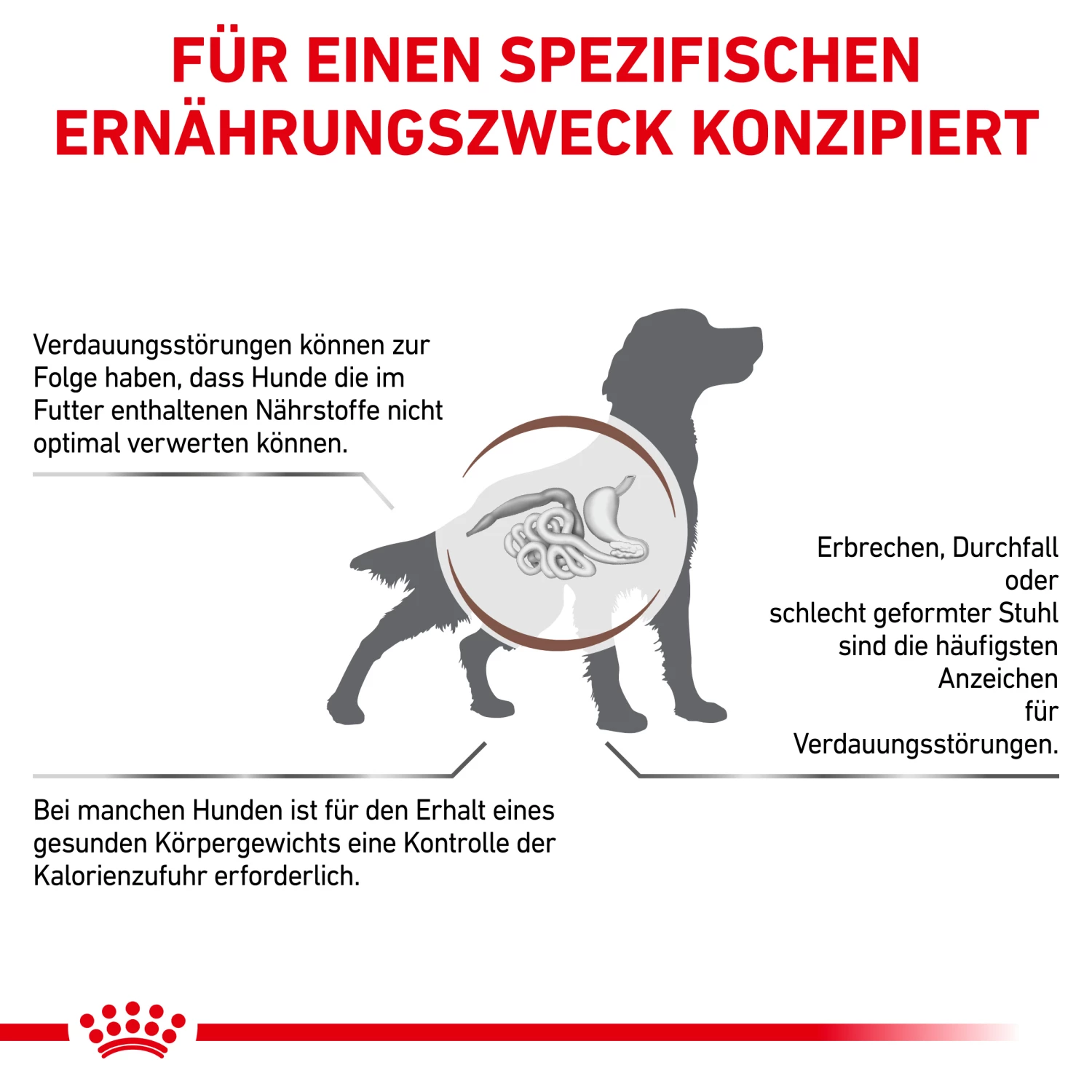 Royal Canin Gastrointestinal Moderate Calorie Trockenfutter Hund 4 Royal Canin Gastrointestinal Moderate Calorie Trockenfutter Hund – Bild 2